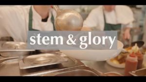 Stem and Glory Crowdfunding Video Production