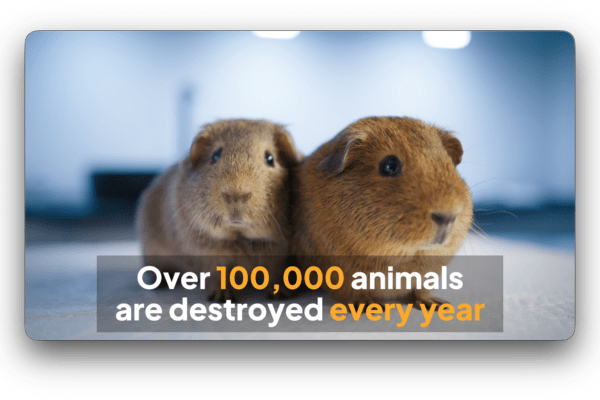 Sansanima Cruelty Free Testing – BioTech Investment Video